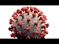 Coronavirus Vaccine: NYU's Dr. Robyn Gershon talks COVID-19 vaccine concerns