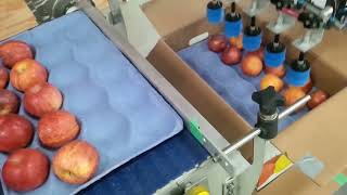 Suction cup grippers for packaging apples Robotic automation solution Pick and Place GRIPWIQ