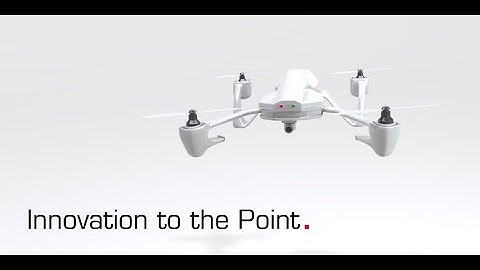 Detecting Invasive Species Using Drone Images - Innovation to the Point