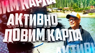 Там где клюёт крупный карп Рыбалка в Бриз парке