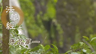 【靜思妙蓮華】法華經序品第一 - 滅除夢妄思想念 - 20200224 第173集