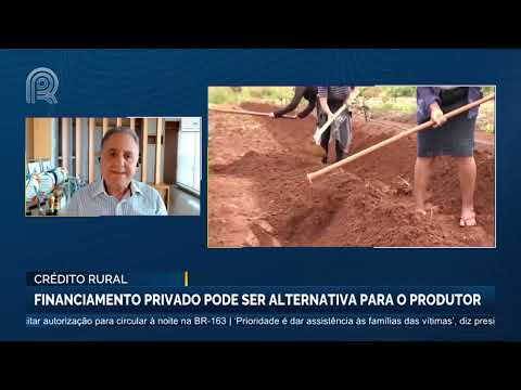 Crédito Rural: Financiamento privado pode ser alternativa para o produtor | Canal Rural