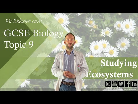 Studying Ecosystems -
