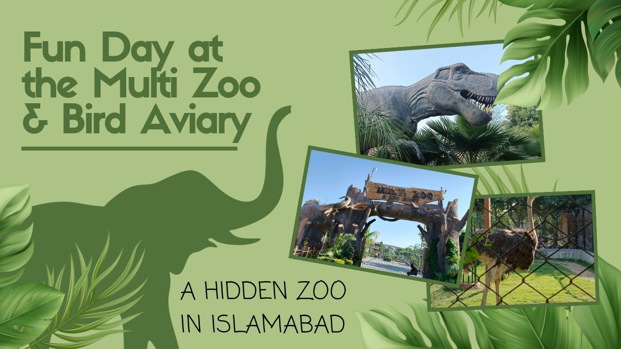 Multi Zoo & Bird Aviary B-17 Islamabad | Detail Tour | Hidden Gem of Islamabad