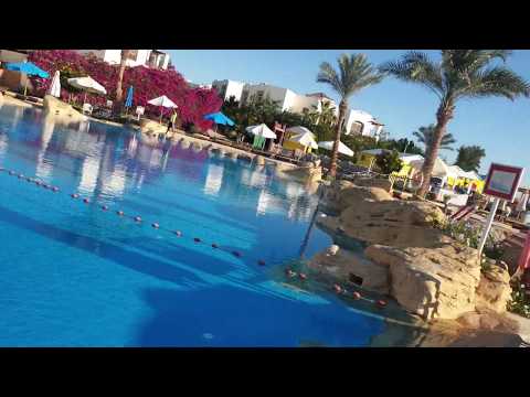 Egyptin rannoilla amphoras Sharm El Sheikh ✈ Paras Hotelli Egyptissä (osa 2)