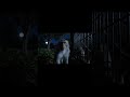 Monkey Escapes the Zoo at Night! 🐒🌙 | Crazy Forest Adventure #comedy