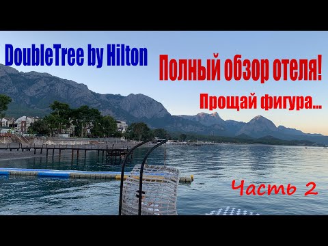 Бейне: Delta және Hilton серіктестері ме?