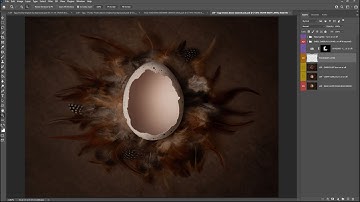 LSP Eggshell Digital Background Duo Video Tutorial