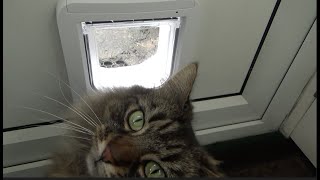 Sureflap Microchip Cat Flap Review by Product Review Help 58,636 views 3 years ago 15 minutes