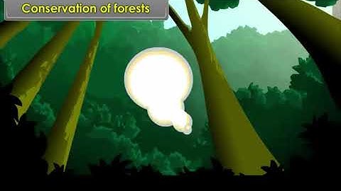 Plant and wildlife Resources 