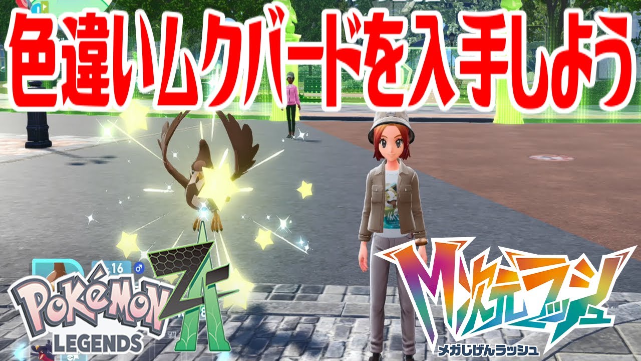 ポケモンZ-A】色違いムクバードを入手しよう 進化入手【Pokémon
