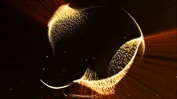 Vexare Firing My Lazer HD