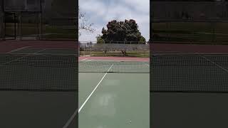 Tennis Battle 2024