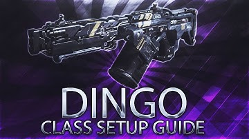 BLACK OPS 3: DINGO CLASS SETUP GUIDE