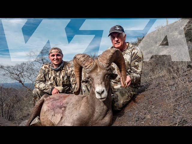 Desert Ram for the Slam | Worldwide Trophy Adventures class=