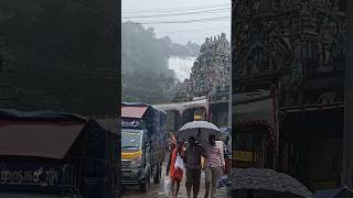 ? குற்றாலம் ⛰️? main அருவி வெள்ளப்பெருக்கு  ⛈️⛈️ kutralam closed because of flood falls kutralam