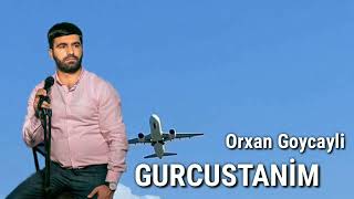 Orxan Goycayli - Gurcustanim 2024 (Resmi Musiqi) Resimi