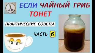 Если ЧАЙНЫЙ ГРИБ ТОНЕТ (часть 6). "Реанимация" чайного гриба. Самый простой и надежный способ