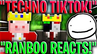 Ranboo REACTS TO TECHNOBLADE TIKTOK! (dream smp)