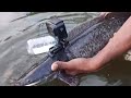 GoPro on fish, gopro hero 7 black,माश्यावर लावला कॅमेरा आणि सोडला पाण्यात, पाण्यातील सुंदर दृश्य