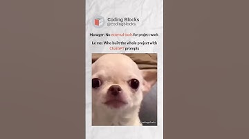 Chatgpt paglu 🎀😂 #chatgptprompts #meme #ai #coding #coder #manager #corporatememes #funny