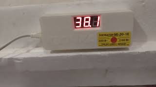 :     ̲-30-1