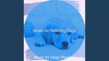 Pulsating Backdrops for Relaxing Dogs