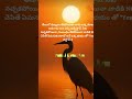 నిజమే నిజాయితీ ఈ రోజుల్లో పనికిరాదు