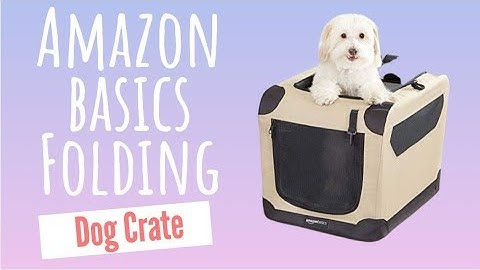 Amazonbasics Folding Soft Dog Crate