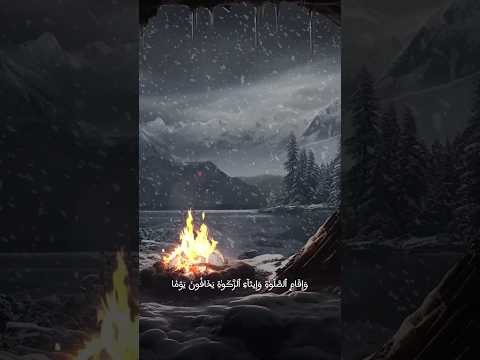 في بيوت أذن الله أن ت رفع تلاوة رائعة بصوت عمر ضياء الدين 