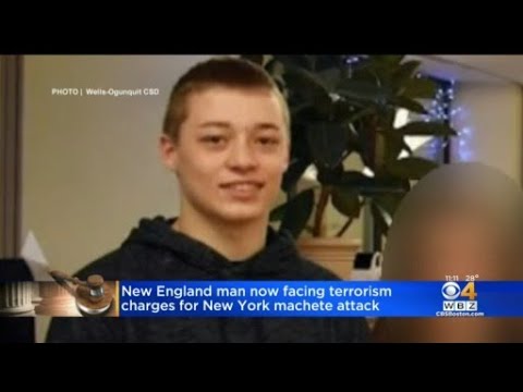 Maine man in New Year's Eve machete attack faces federal charges - YouTube