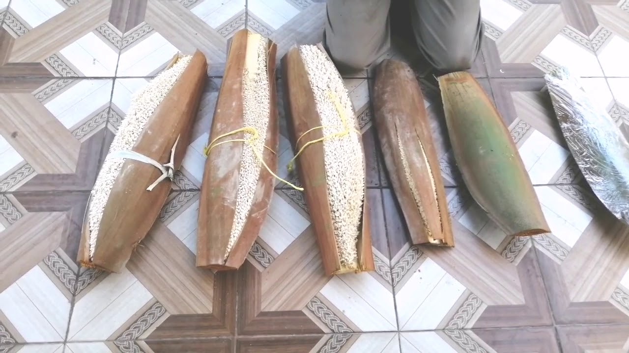 كيفية الاستفادة من اغاريض اللقاح أثناء موسم تلقيح أشجار النخيل