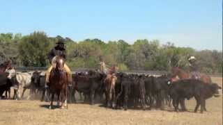Martin Black Cow Clinic Part 1