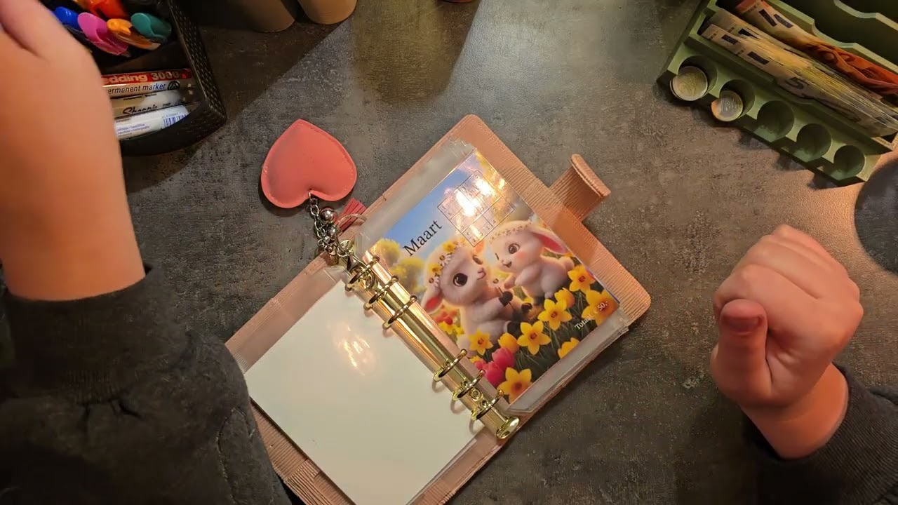 Week 5 Door Stuffen 💸 | Extra Sparen & Lekker Verdelen! ✨