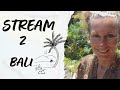 Stream prvn po nvratu na bali