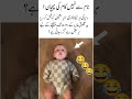 Strange creativity on the world #funny #motivation #cutebaby #comedy #baby #funnyface #laughnonstop