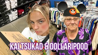 KALTSUKAD & DOLLARIPOOD // Ameerika vlog 7