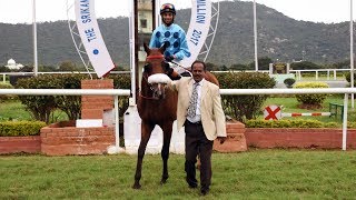 1000th win for P Trevor riding Turf Star