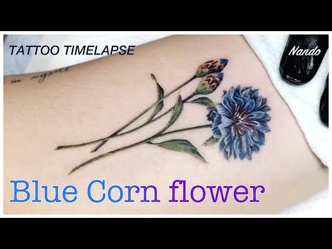 Illustrative style cornflower tattoo located on the