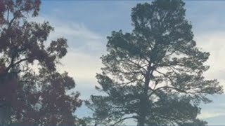 2 Pasco County schools cancel classes due to wildfire concerns