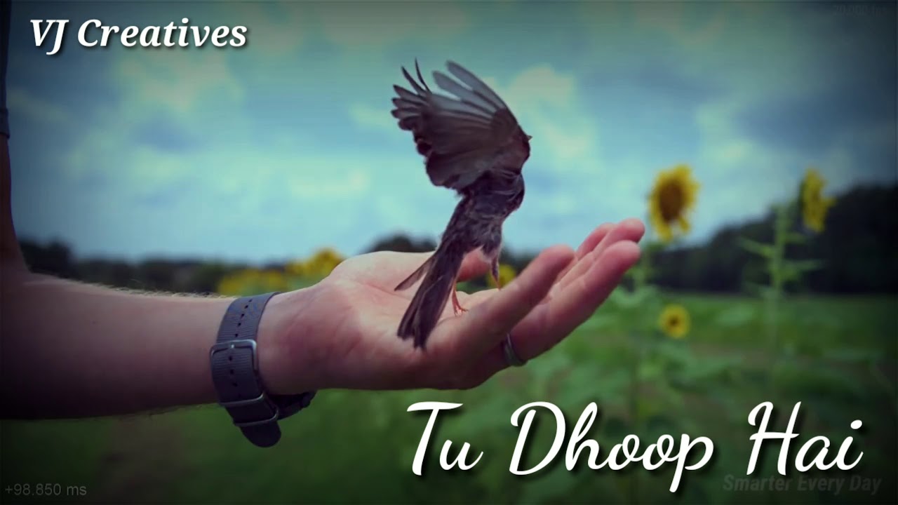 Tu Dhoop Hai  WhatsApp Status Video  Slow Motion  VJ Creatives 