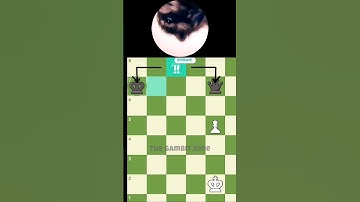 KNIGHT🔥🚀🔥 #sacrifice #edit #chess #shorts #viral #checkmate