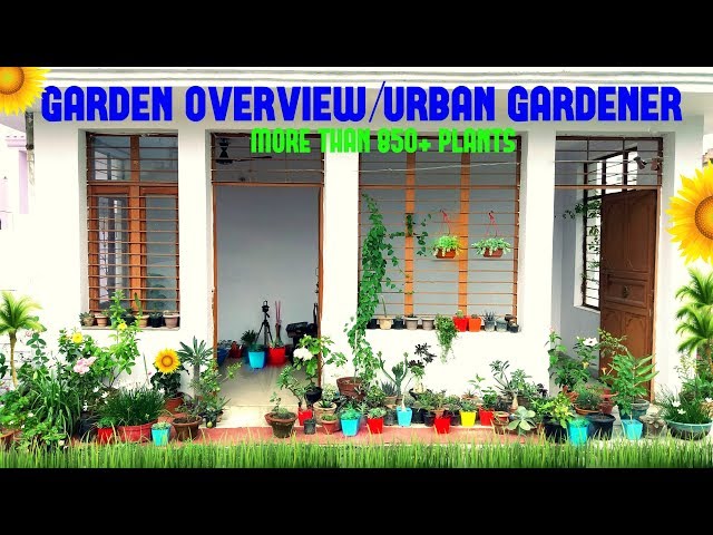 Garden Overview / Urban Gardener / More Than 850+ Plants