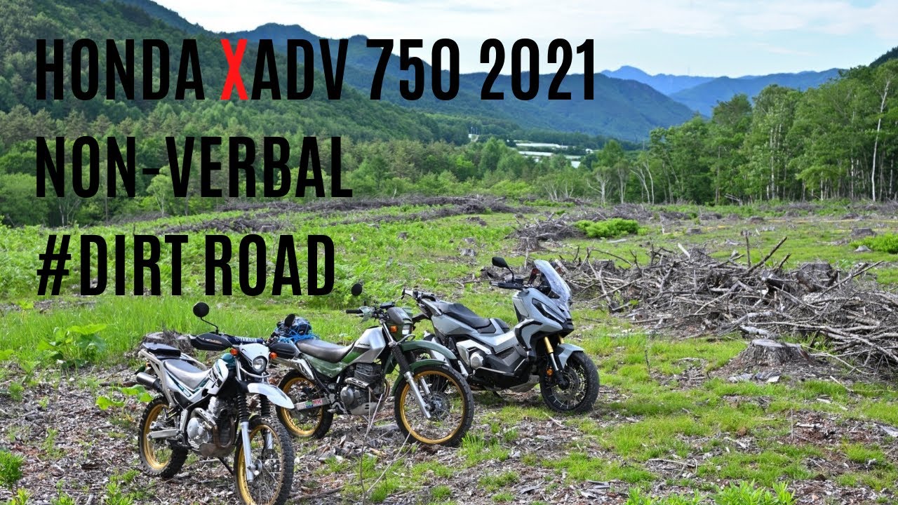 【XADV 750】オフロードはどこまでいける？多分これが限界【大弛峠】