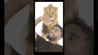 Sher Ke Sath Dosti Meri My Why Some People Want To Be Friends With Lionsregenerate