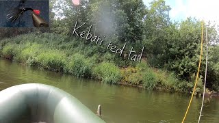 Kebari red tail