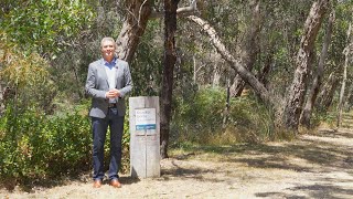31 Russell Ave Anglesea