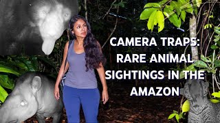 We Left Cameras In The Amazon: This Happened