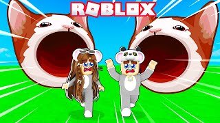 Koca Kediden Kaçtık Roblox Escape Bleh Cat