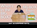 WHAT'S IN THE BIG BOX | DAY 26 SURPRISE GIFT @Inder & Kirat